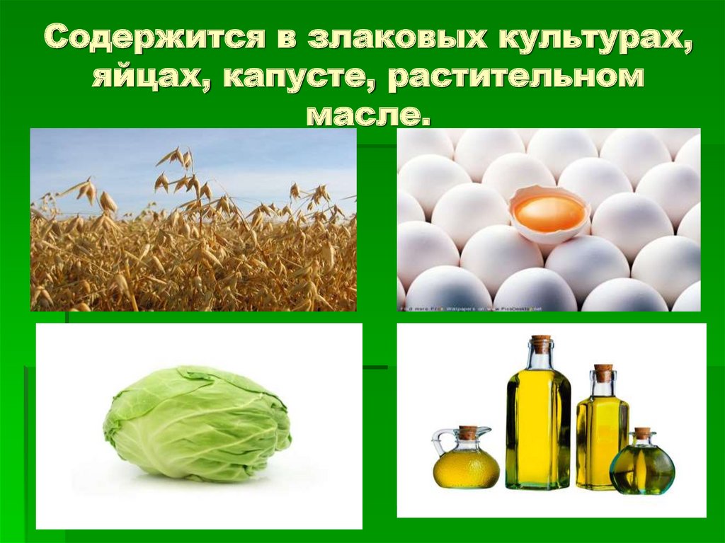 Содержится в злаковых культурах, яйцах, капусте, растительном масле.