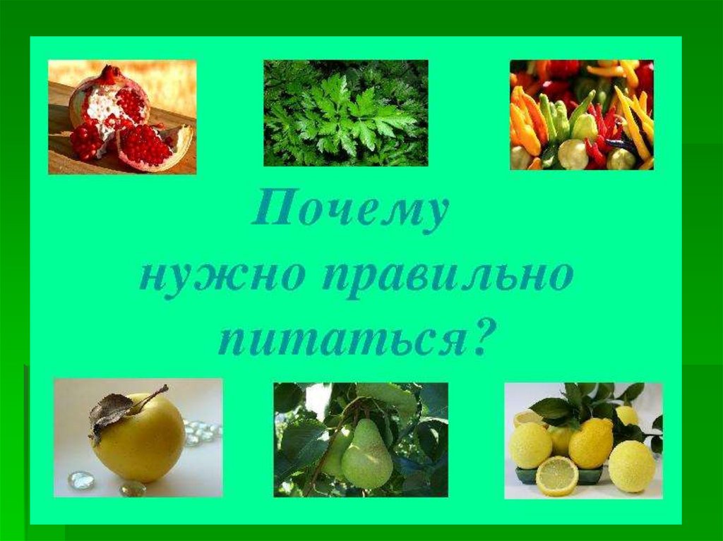 Почему важно правильно питаться. Зачем нужно правильно питаться. Почему надо правильно питаться. Для чего надо правильное питание. Почему надотправильно питаться.