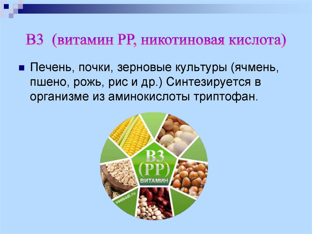 Никотиновая кислота витамин в3. Никотиновая кислота витамин рр. Никотиновая кислота это витамин в3. Витамин рр презентация. Витамин рр в организме человека.