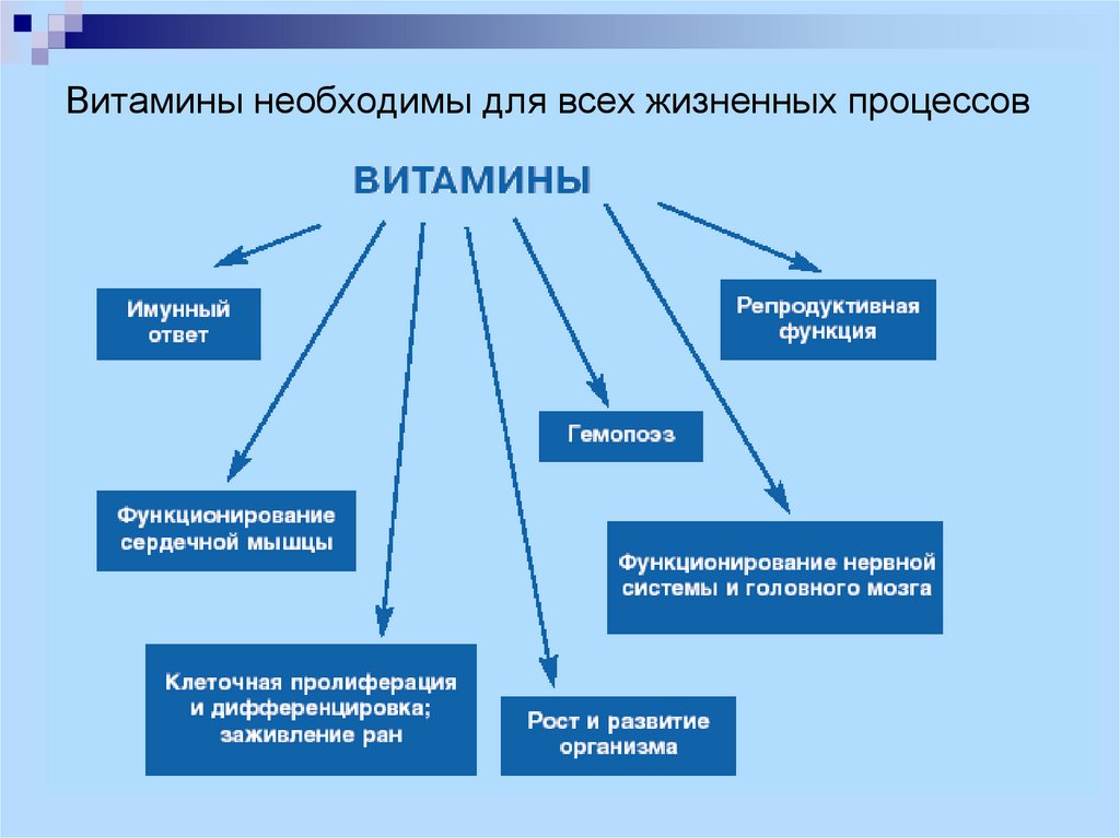 Жизненные процессы.