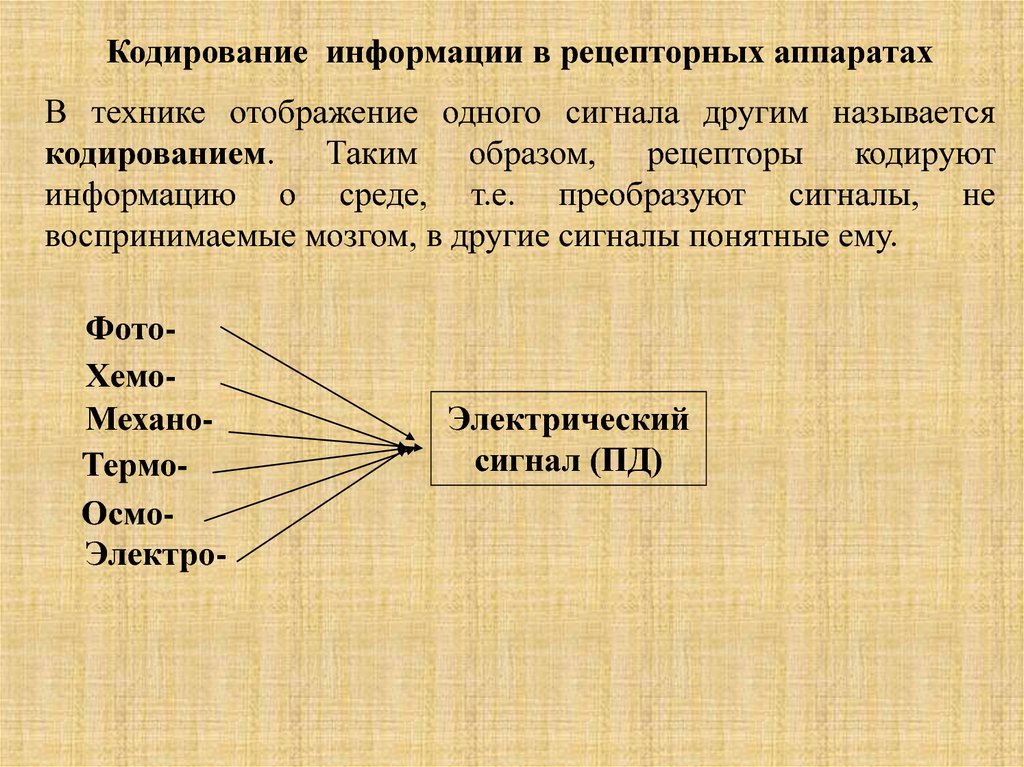 Название кодировок