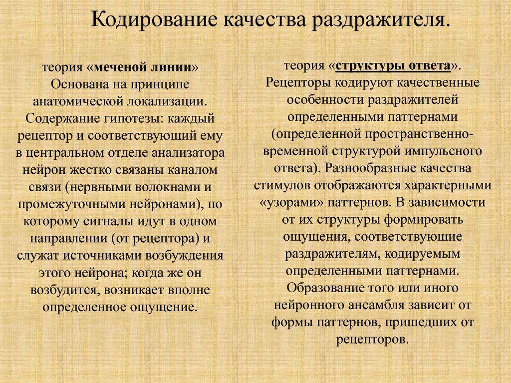 Кодирование качества. Принцип меченой линии физиология. Теория меченой линии. Принцип меченой линии схема.