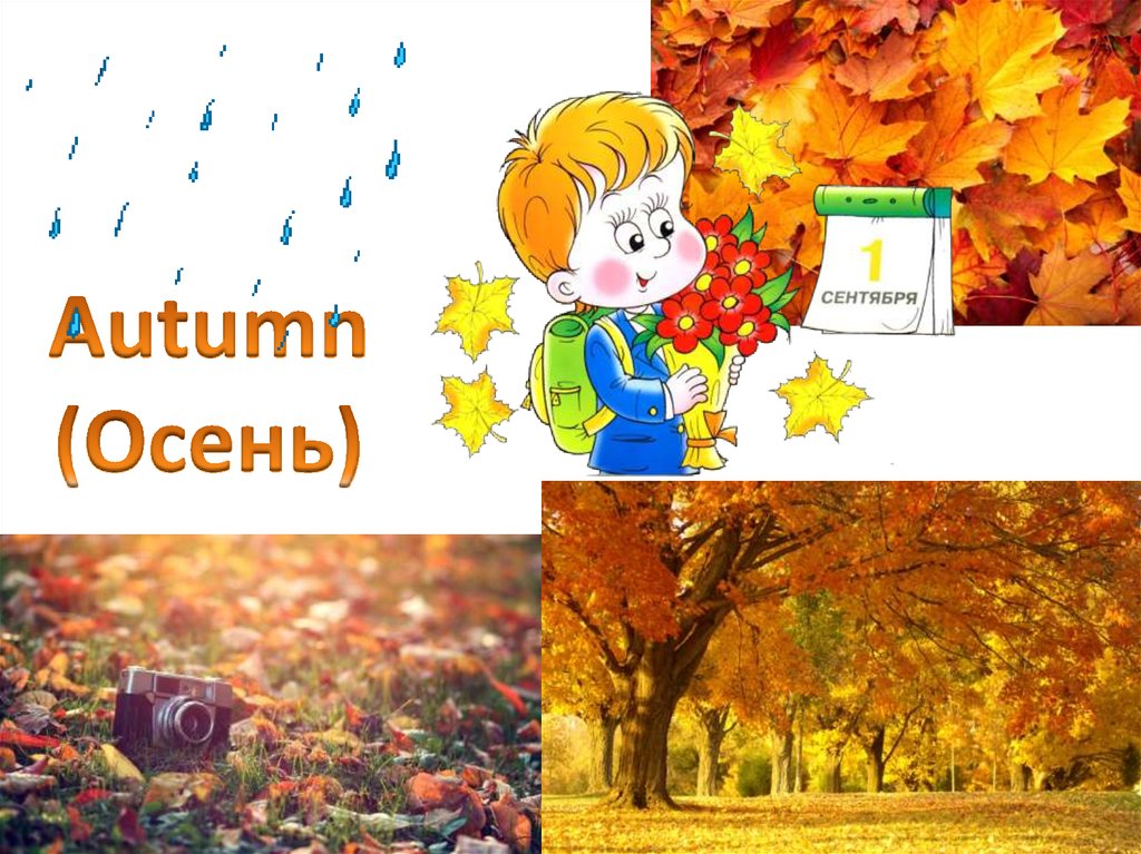 Autumn (Осень)