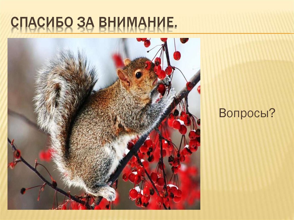 Спасибо за внимание.