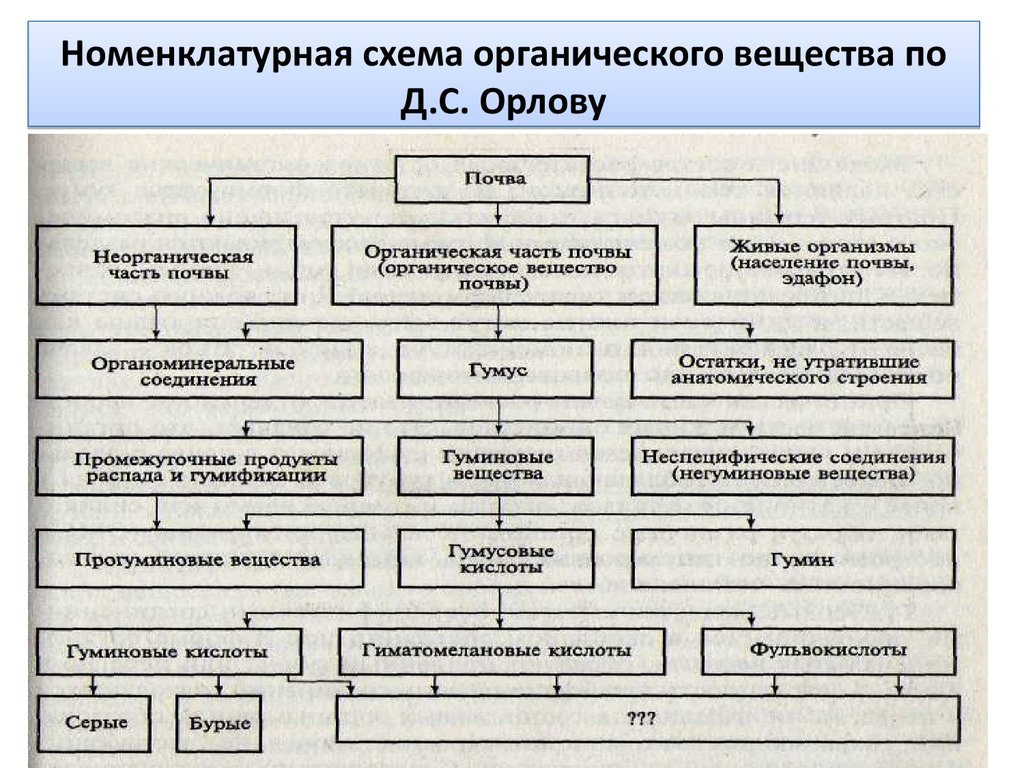 Схема органических веществ