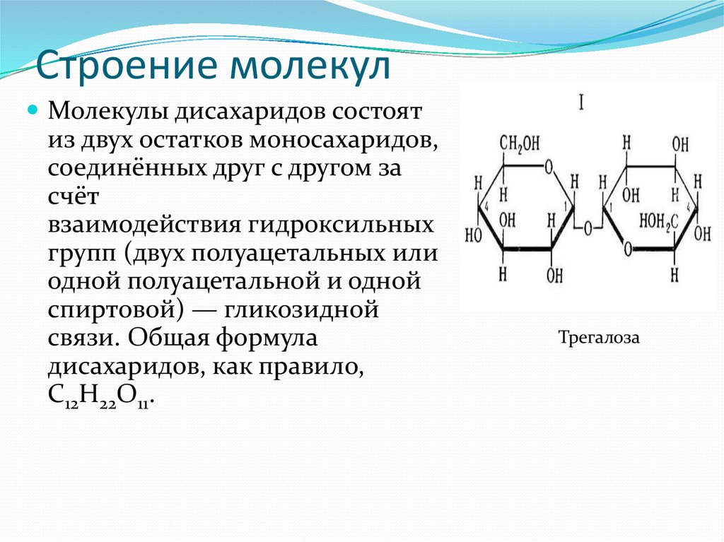 Дисахариды презентация 10 класс химия профильный уровень