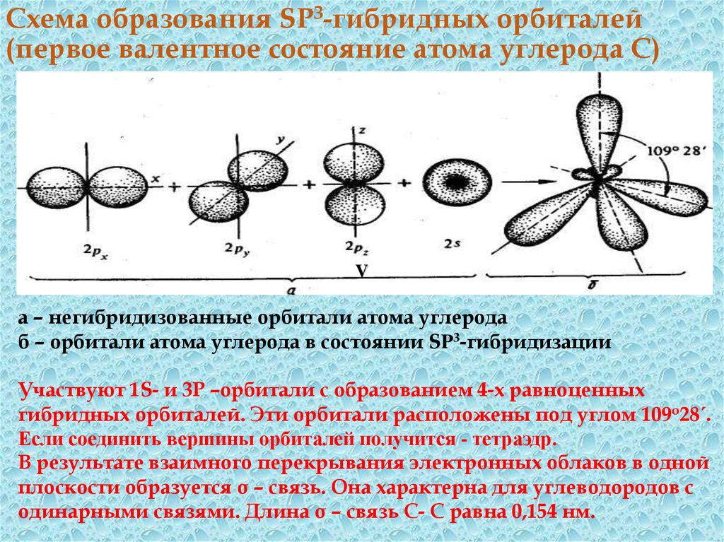 Образование гибридов