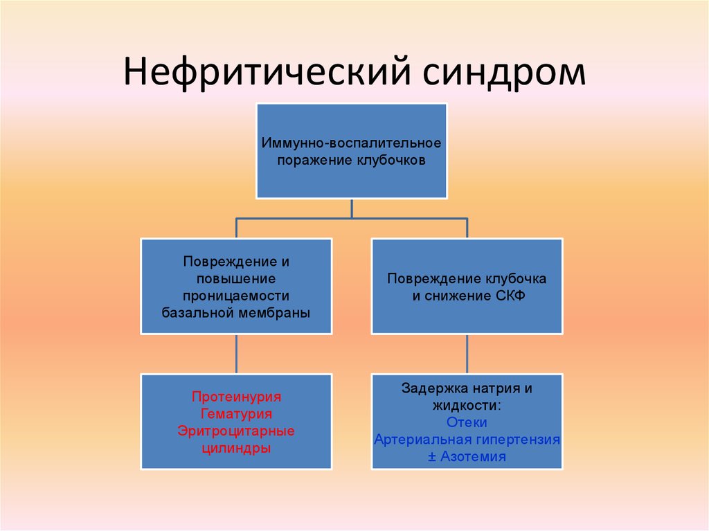 Нефротический синдром патогенез схема