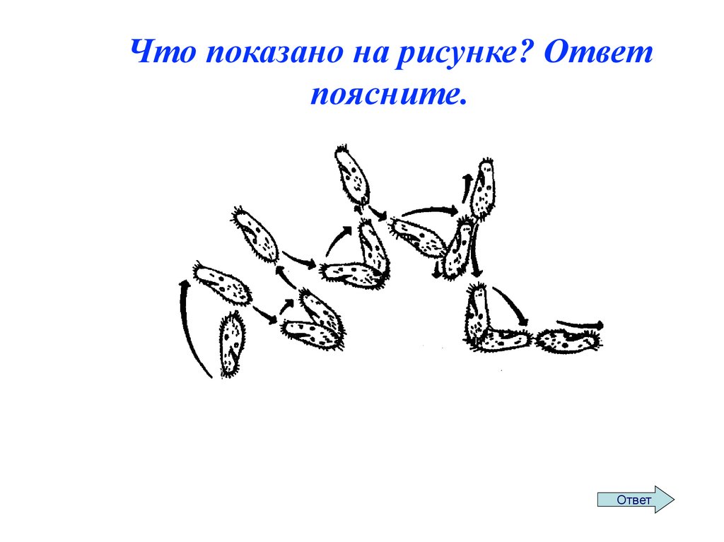 Итоговая игра по истории россии 7 класс презентация