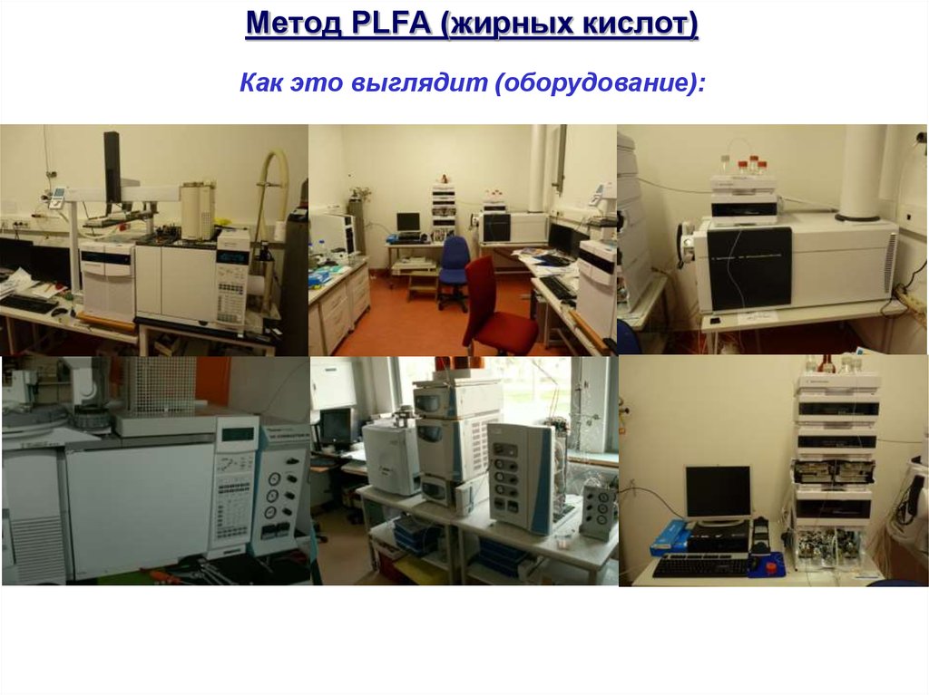 Метод PLFA (жирных кислот)