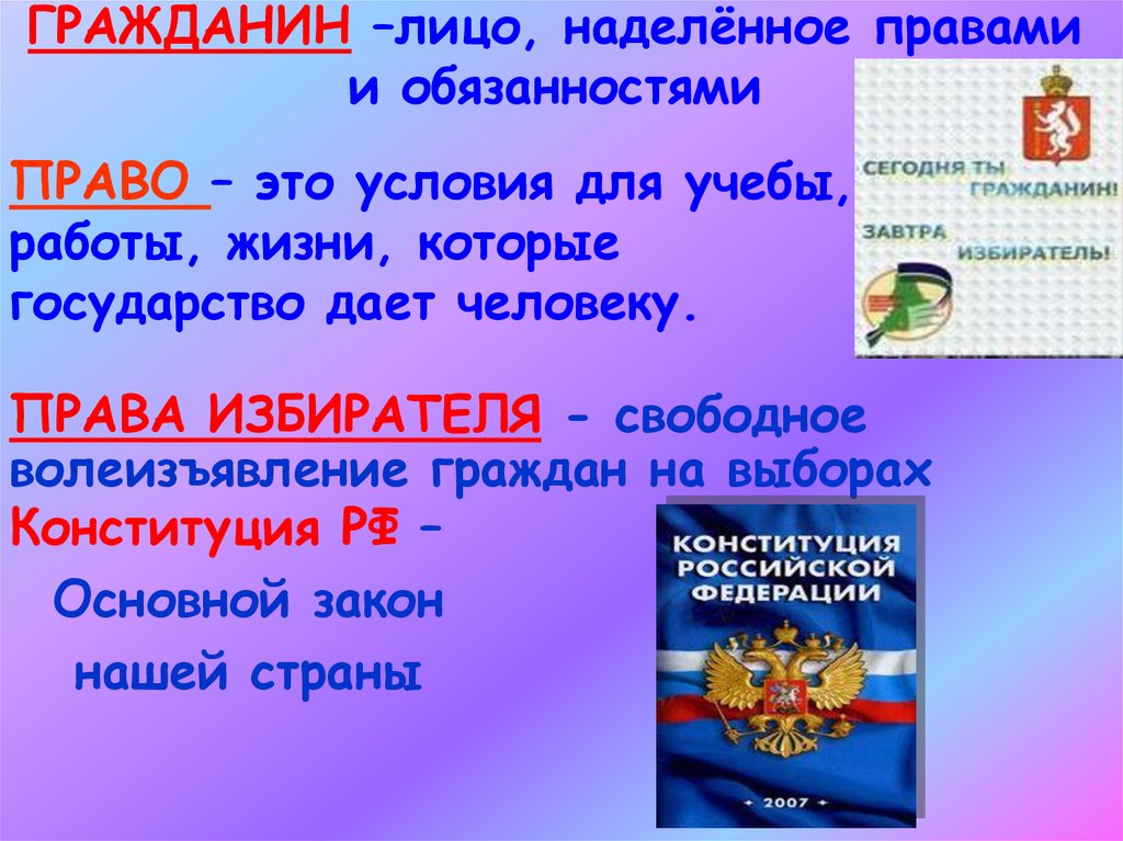 Какими правами наделены. Гражданин это лицо наделённое правами. Конституция выборы. Право на волеизъявление Конституция РФ. Права избирателя.