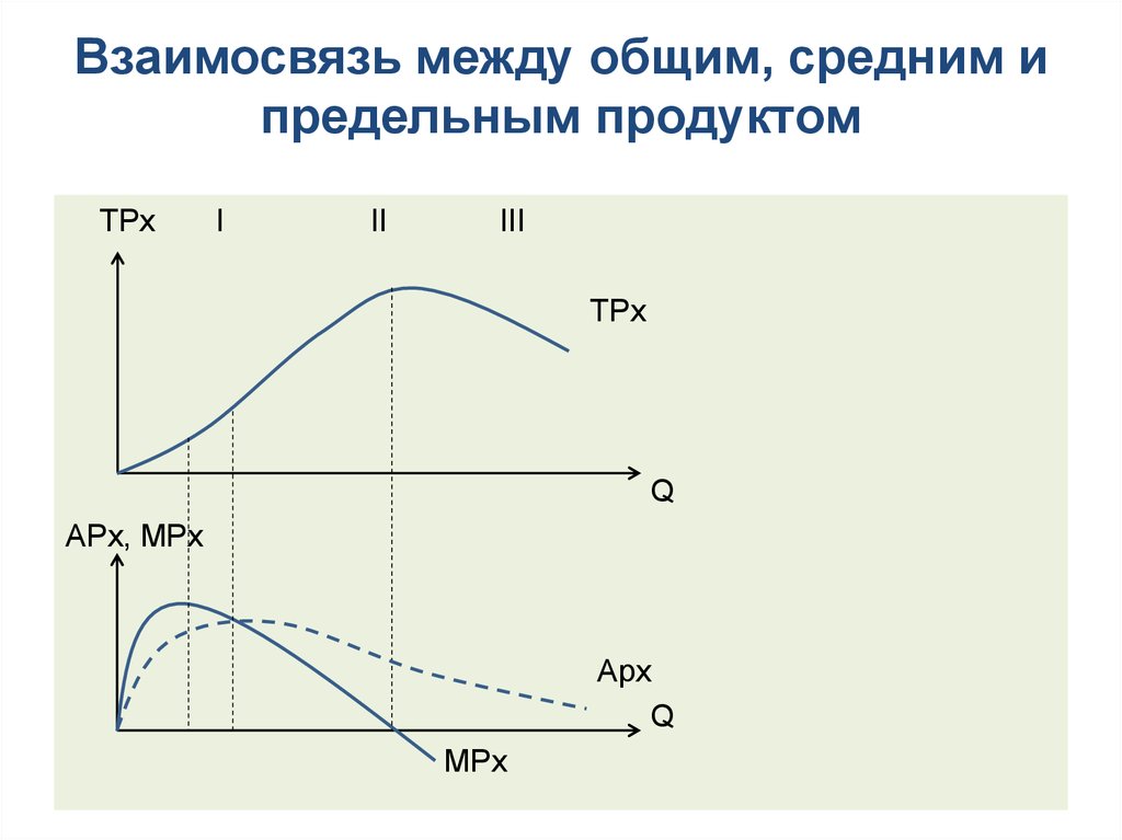 Взаимосвязь между общим, средним и предельным продуктом