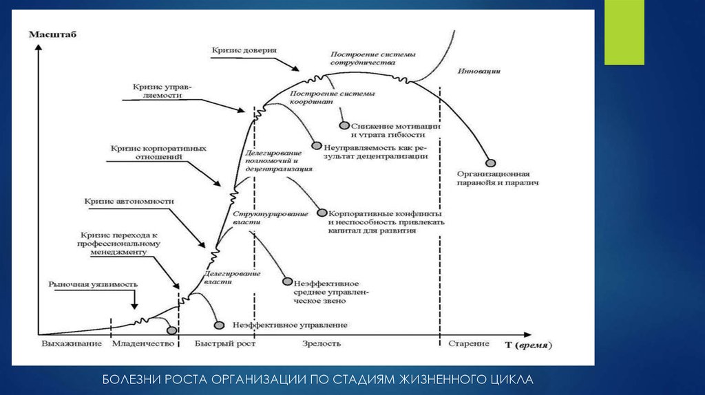 На стадии роста организации на первый план в деятельности руководителя выступают