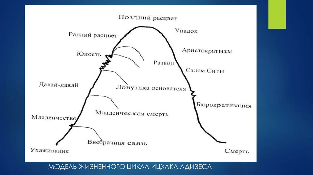 Как правильно трактовать зубчики на схеме адизеса перед этапами младенчество бюрократизация и юность