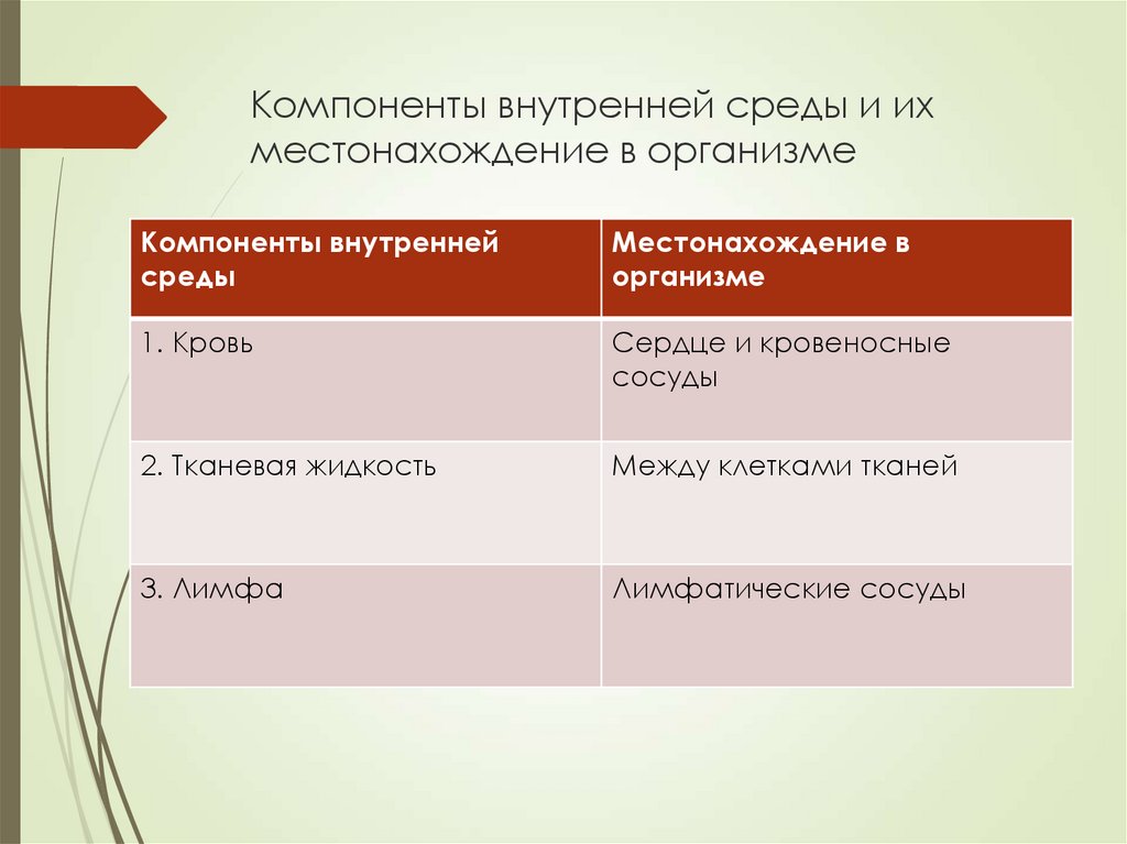 Компоненты внутренней среды организма человека. Компоненты внутренней среды организма. Компоненты внутренней среды местонахождение в организме. Компоненты внутренней среды таблица. Кровь местонахождение в организме.