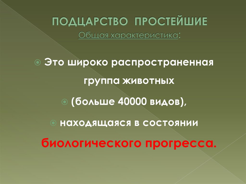 Простой общий. Подцарство. Подцарство простейшие. Подцарство простейшие общая характеристика. Что такое Подцарство в биологии.