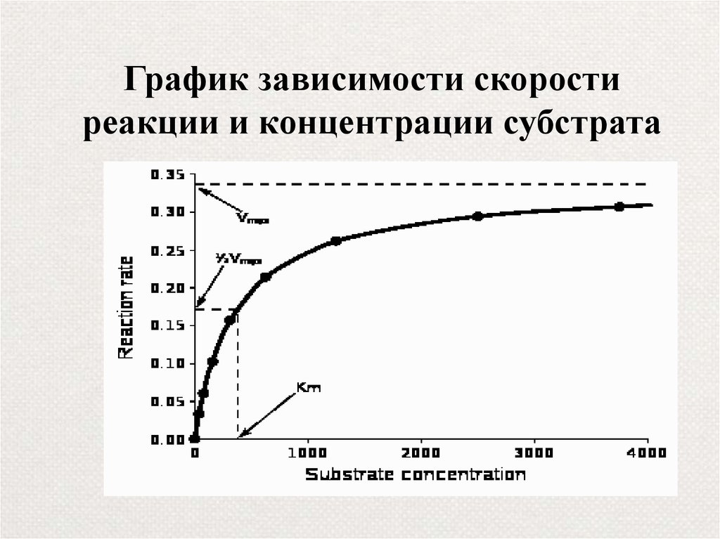 Зависимость активности от концентрации. График скорости ферментативной реакции от концентрации субстрата. График зависимости скорости реакции от концентрации.