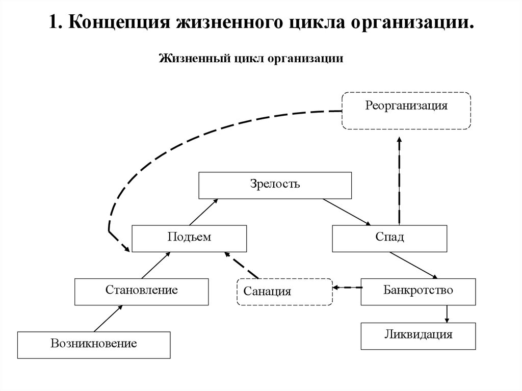 Схема жизненного цикла компании