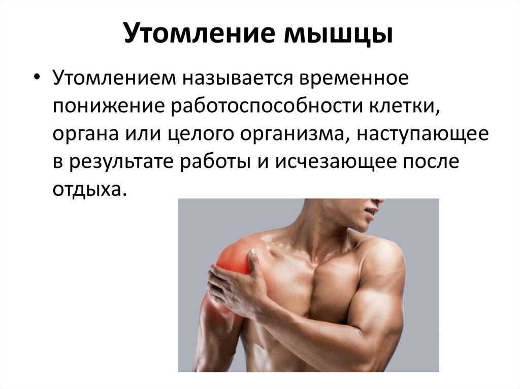 Работа мышцы зависит. Утомление мышц. Причины мышечного утомления. Причины утомления мышц. Усталость мышц.