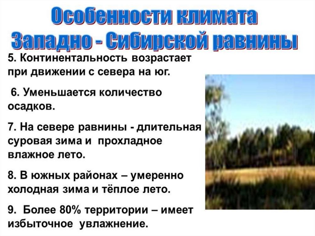 Чем отличается природа западной сибири. Особенности Западно сибирской равнины. Западно-Сибирская равнина особенности природы. Характеристика климата Западно сибирской равнины. Особенности природы Западной Сибири.