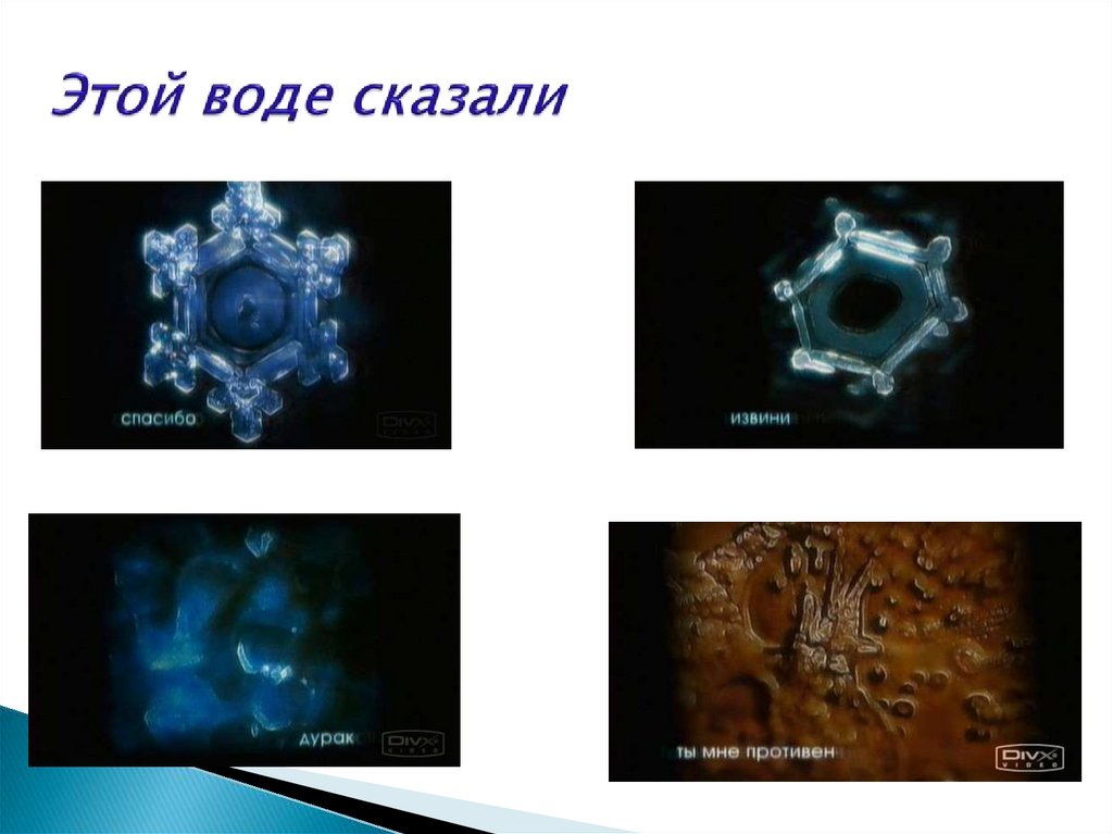 Вода меняется. Воде сказали спасибо. Вода которой говорили хорошие слова. Этой воде сказали спасибо. Кристалл воды ты мне противен.