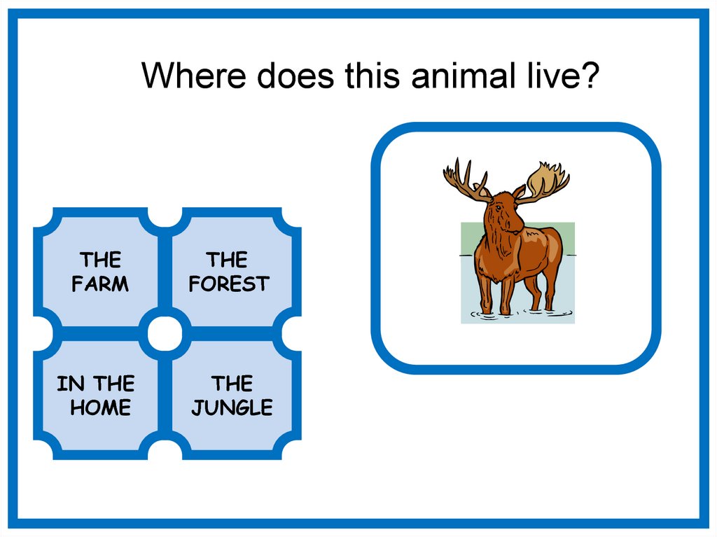Animals. Where does this animal live - online presentation