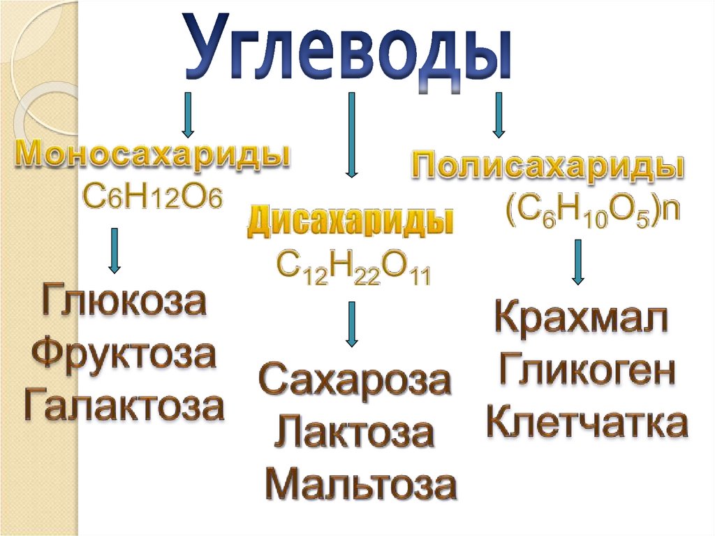 Углеводы презентация 10 класс химия