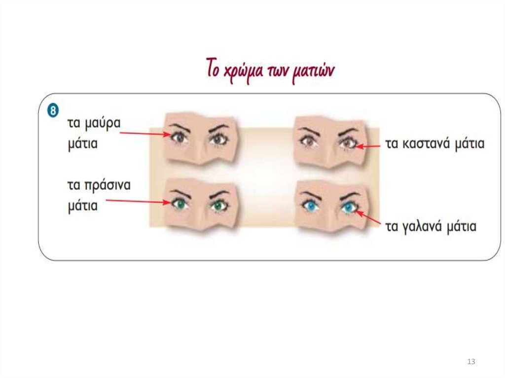 Διαφάνεια 13