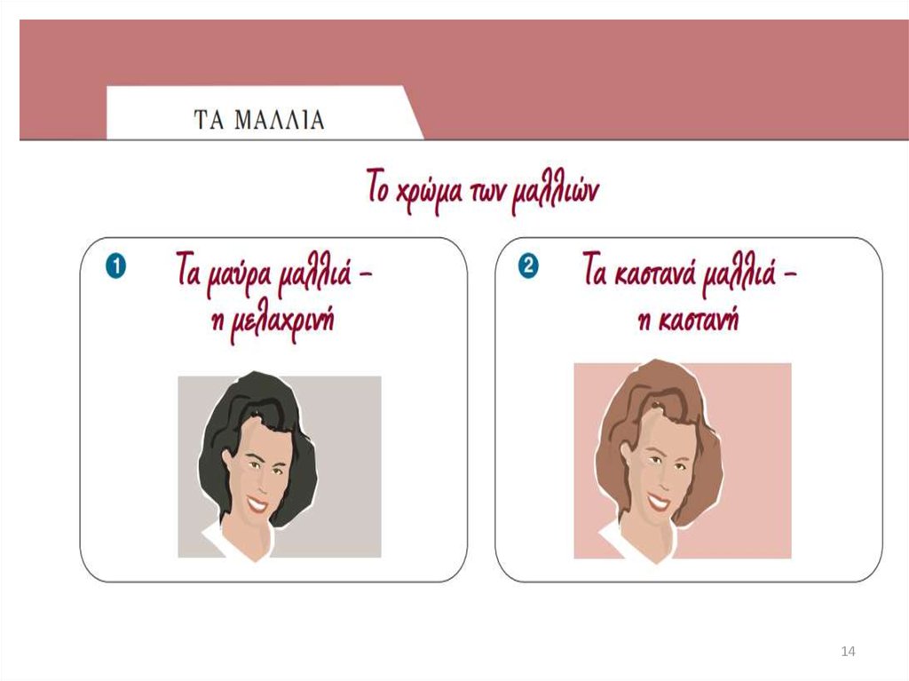 Διαφάνεια 14