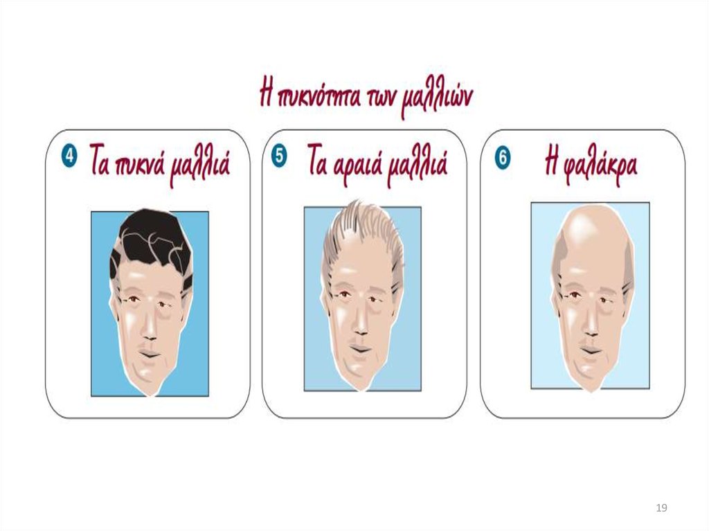 Διαφάνεια 19