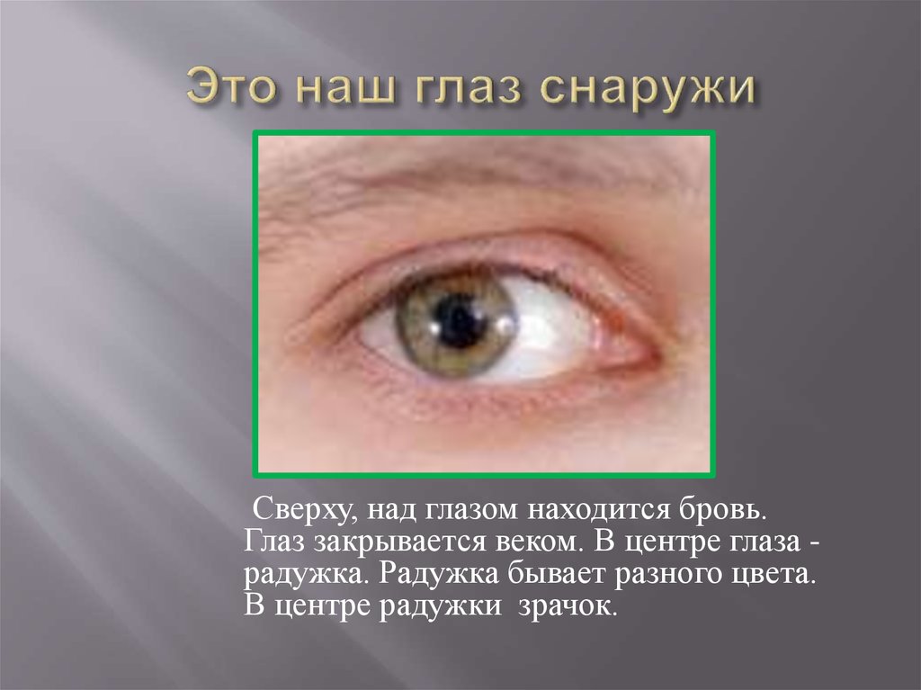 Нижнее веко закрывает глаз. Глаз снаружи. Поражение органов зрения. Радужка не касается Нижнего века.