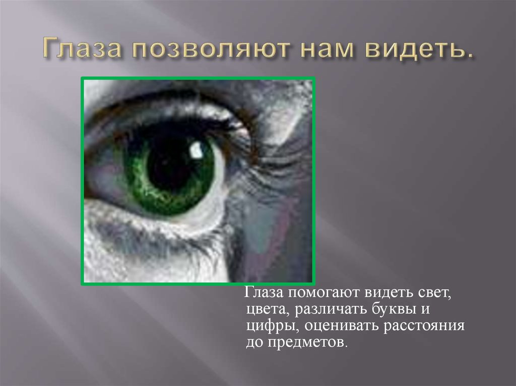 Видимое око. Глаз видит. Старение органа зрения характеризуется. Напряжение органа зрения приводит к. Что мы видим глазами.