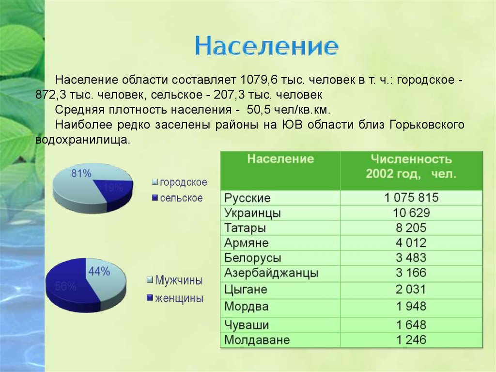 Иваново население численность 2024