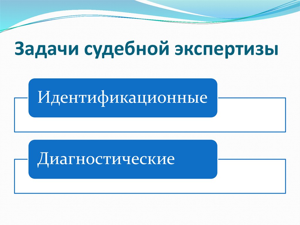 Задачи экспертизы. Идентификационные и диагностические задачи судебной экспертизы. Диагностические задачи судебной экспертизы. Классификационные задачи судебной экспертизы. Идентификационные задачи судебной экспертизы виды.