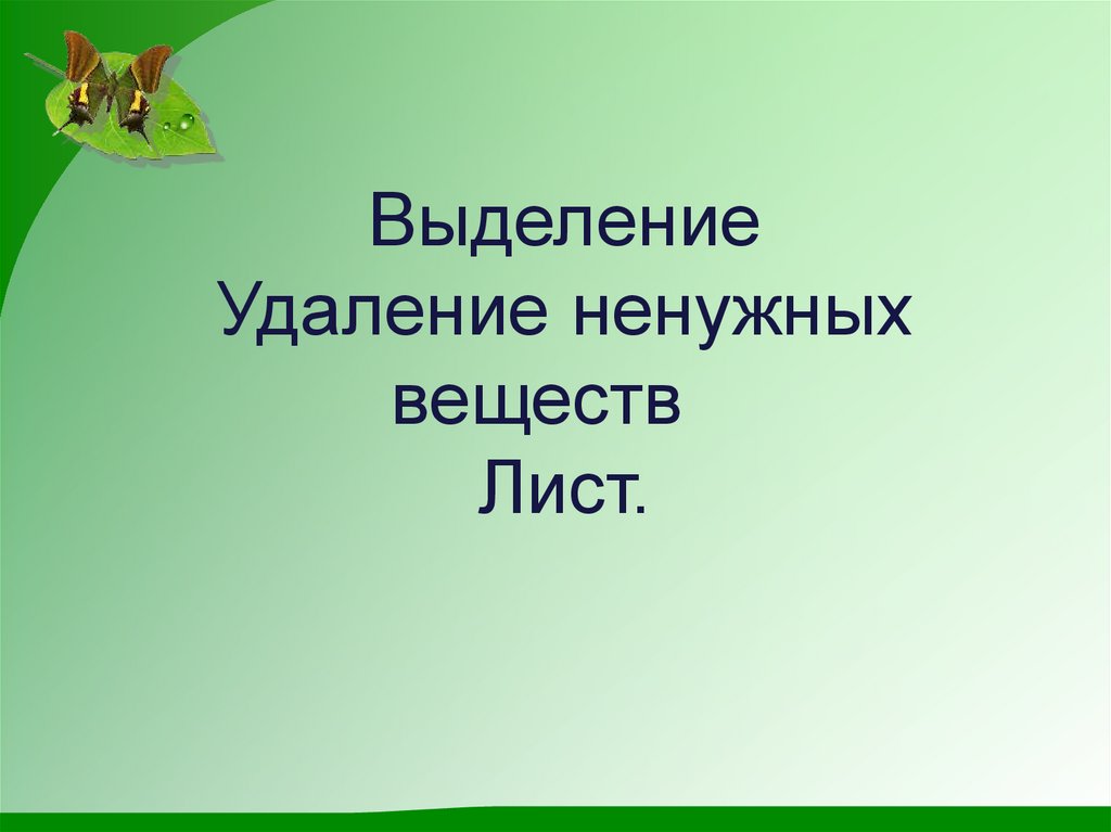 Презентация на тему выделение 8 класс биология