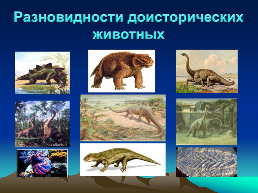 На какой территории жили динозавры. Какие динозавры жили. Динозавры жили на планете. Динозавры жившие на территории России. Динозавры которые жили в России.