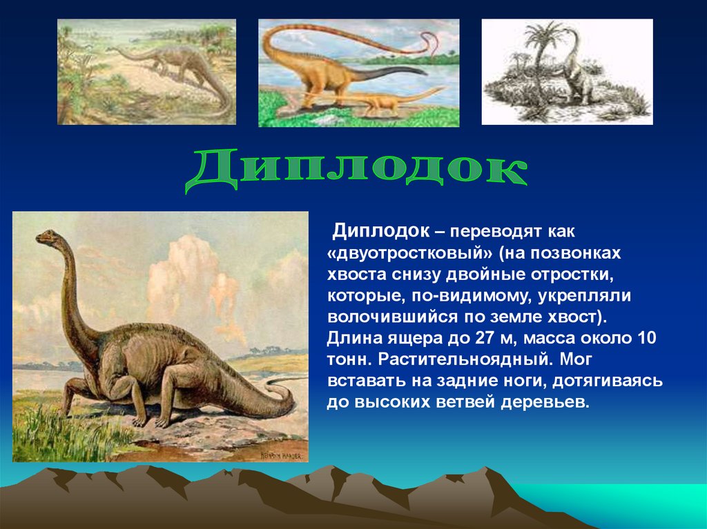На какой территории жили динозавры. Динозавры обитали на земле. Обитание динозавров. Динозавры которые жили. Динозавры которые жили на Тери Тори Росси.