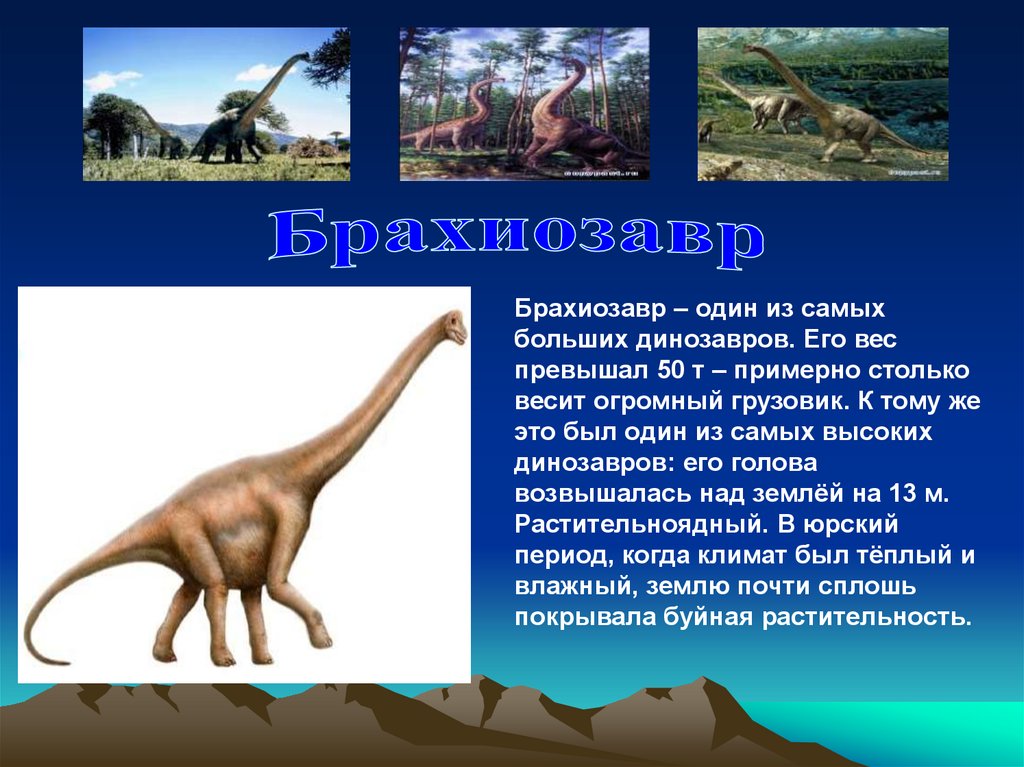 Когда жили динозавры видеоурок. Мезозойская Эра Брахиозавры. Динозавры которые обитали. Самый большой динозавр. Проект про динозавров.