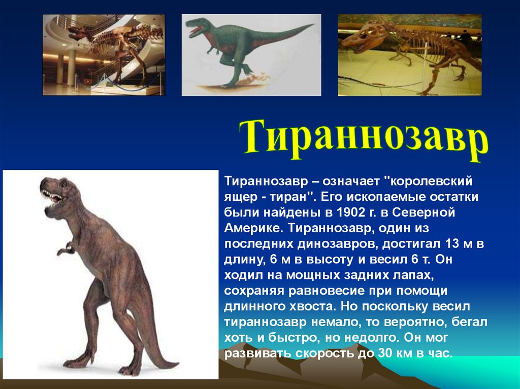 Когда жили динозавры видеоурок. Какие динозавры жили. Где жили динозавры. Динозавры жили на планете. Какие динозавры жили на Кавказе.