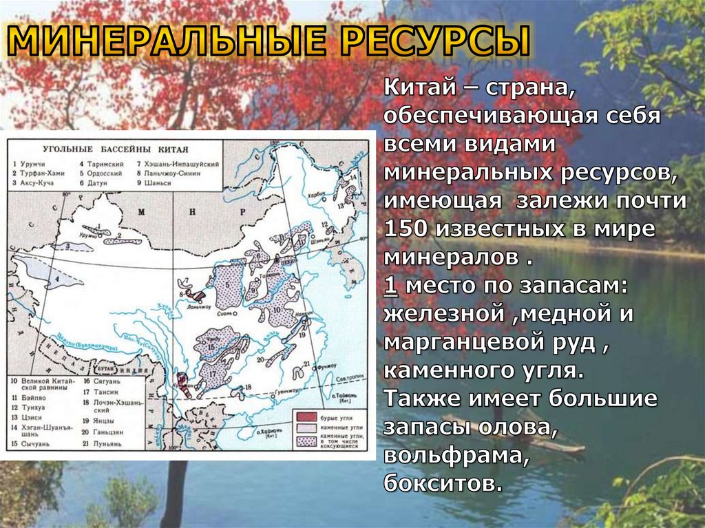 Минеральные ресурсы