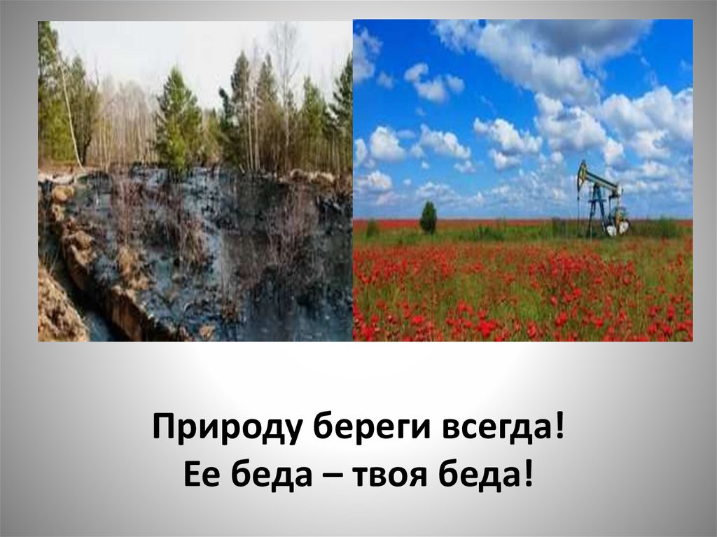 Природу береги всегда! Ее беда – твоя беда!