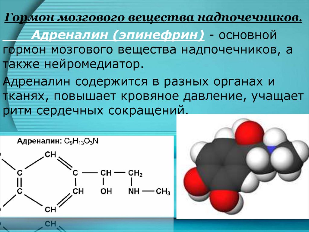 Гормоны надпочечники тестостерон