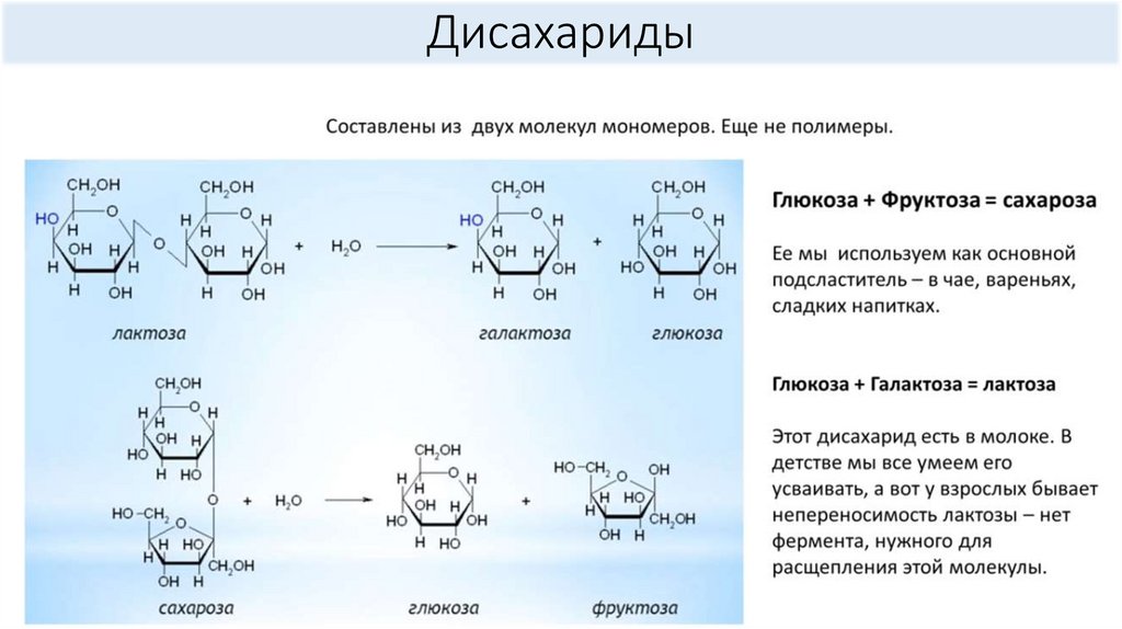Химические свойства лактозы. Лактоза с реактивом Фелинга. Галактоза и лактоза формулы. Лактоза h2o галактоза Глюкоза фермент. Лактоза в глюкозу и галактозу.