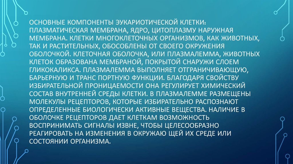 Основные компоненты эукариотической клетки: плазматическая мембрана, ядро, цитоплазму Наружная мембрана. Клетки многоклеточных