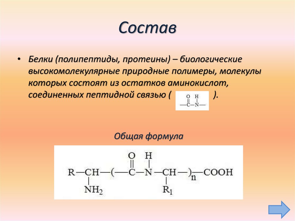 Фрагмент молекулы полипептида. Общая химическая формула белков. Состав белков химия формула. Общая структурная формула белков. Белок формула химическая общая.