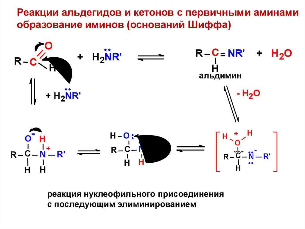 Защита карбонильной группы. Характерные реакции для кетонов. Механизмы реакций в органической химии. Скорости реакций органических соединений. Характерные реакции кетонов