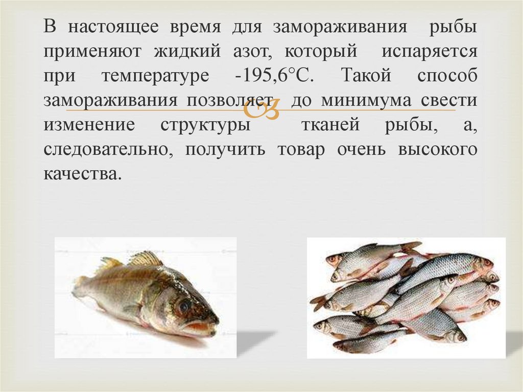 Оценка качества рыбы. Рыбные товары презентация. Описать способы замораживания рыбы. Методы заморозки рыбы. Способы замораживания охлажденной и мороженой рыбы..