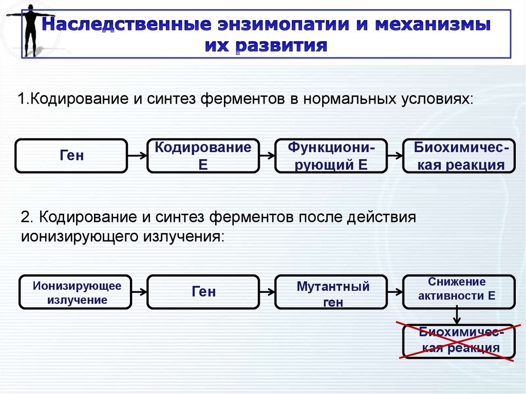 Роль наследственности в патологии презентация