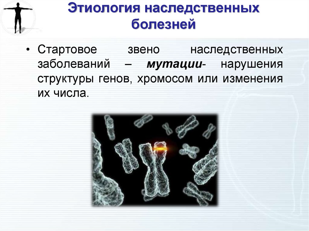 Патология презентации. Этиология наследственных заболеваний. Этиология генетических заболеваний. Этиология наследственных болезней генетика. Роль наследственности в патологии презентация.