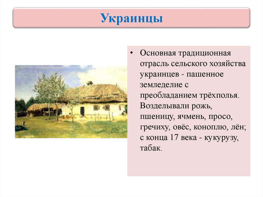 Специфика традиционного уклада жизни казаков. Основное занятие украинцев. Украинцы история 7 класс. Украинцы 17 века презентация. Основное занятие украинцев в 17 веке.